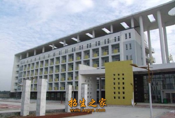 公开信息按发布时间滚动
