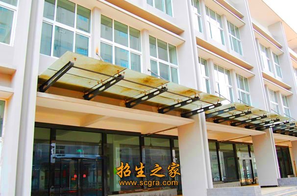公开信息按发布时间滚动