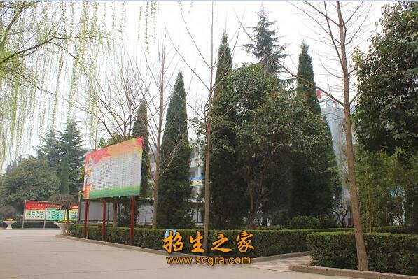 正文适合核对表述