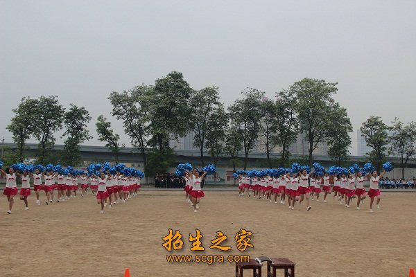 全方位构建了就业安置网络