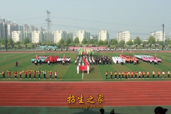 在对个人和内外环境因素进行分析的基础
