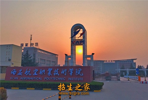 公开信息按发布时间滚动