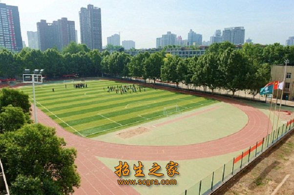副高级职称104人