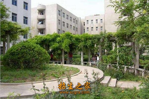 硕士以上学位约占专任教师总数的50%