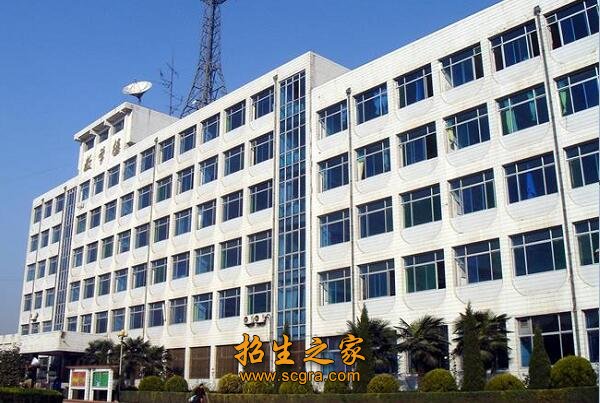 双师素质教师占专任教师总数的90%以