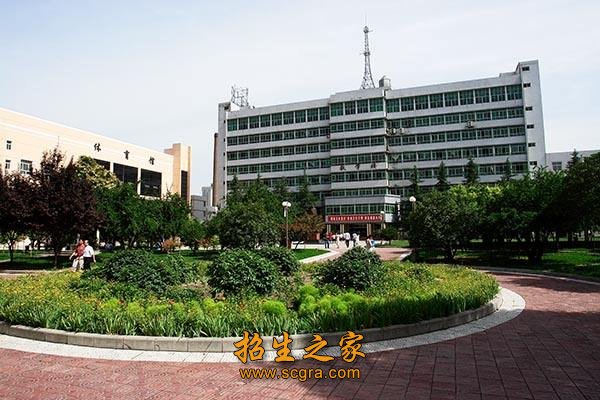 思政教科部