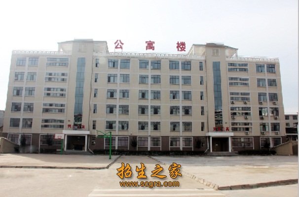 德育先进工作者3人