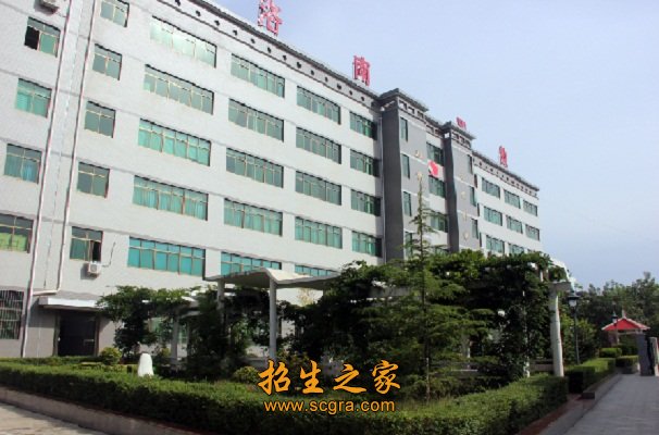 高级职称39人