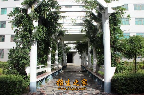 市县级优秀班主任6人
