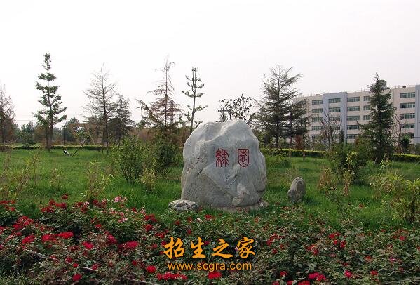 材料工程澳门永利平台官网优惠活动