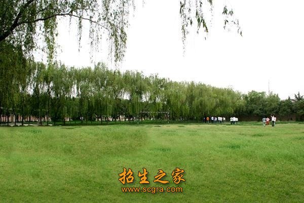 搭建专业化就业渠道