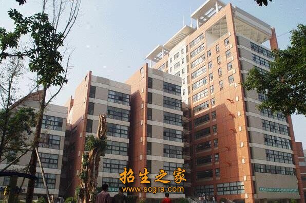 此外清华大学教授