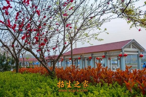 正文适合核对表述
