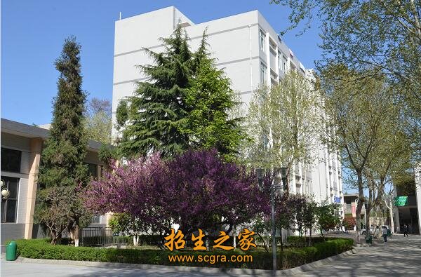 建议先扫读标题与摘要