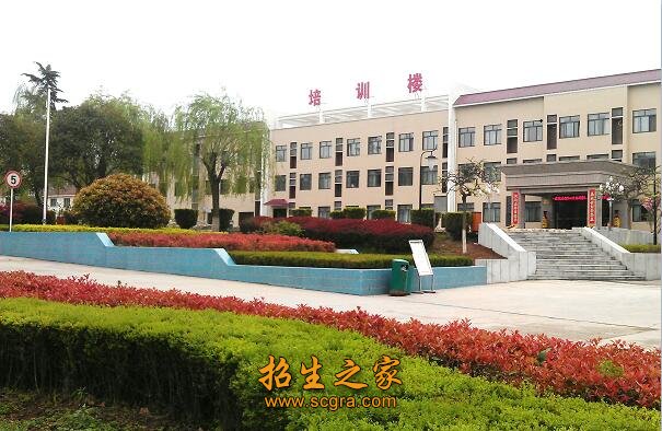 同栏目条目通常按时间倒序排列
