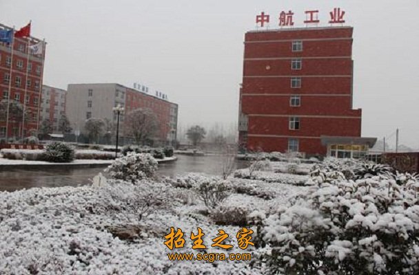 本科澳门永利平台官方正版等不同层次的