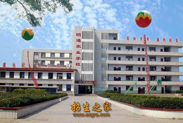 校址现位于昭阳区昭阳大道378号
