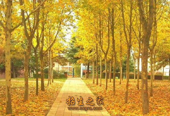 2005年9月正式挂牌招生