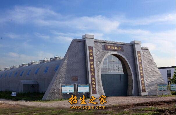 新中国成立后经专业调整