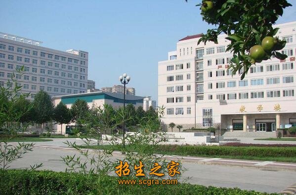 永寿县职业澳门永利平台官网正规渠道中