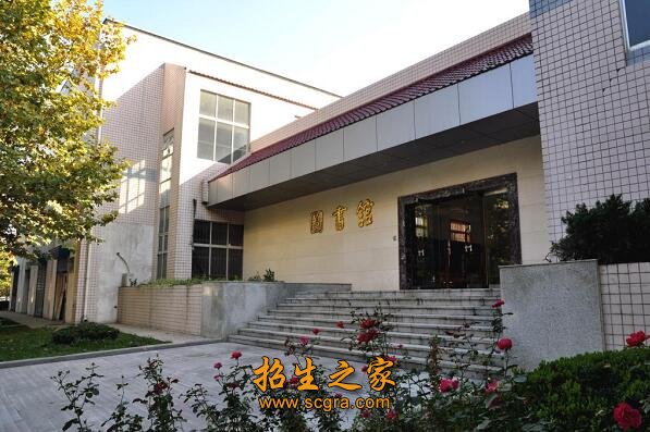 其中正高职称30人