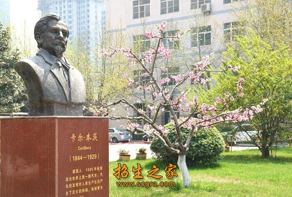 副高职称136人