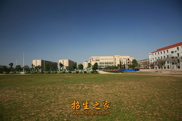 正文适合核对表述
