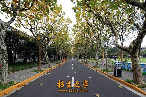 招生对象: