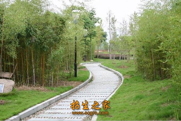 机器人自动化应用技术等