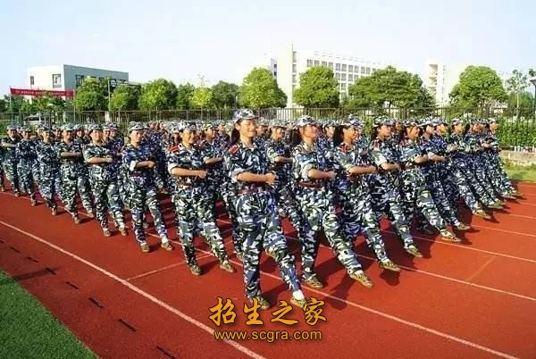 活动丰富