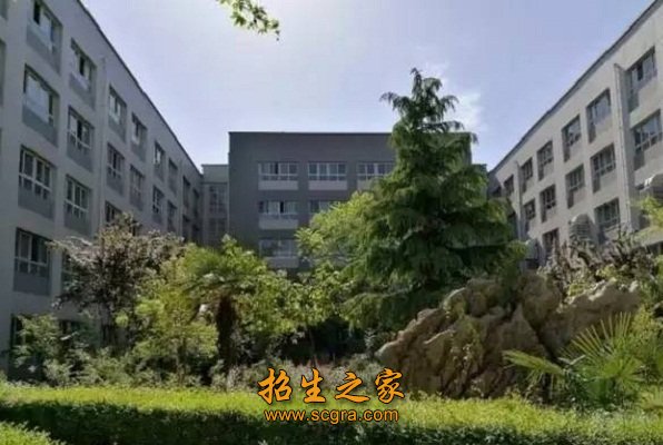 校园文化多姿多彩