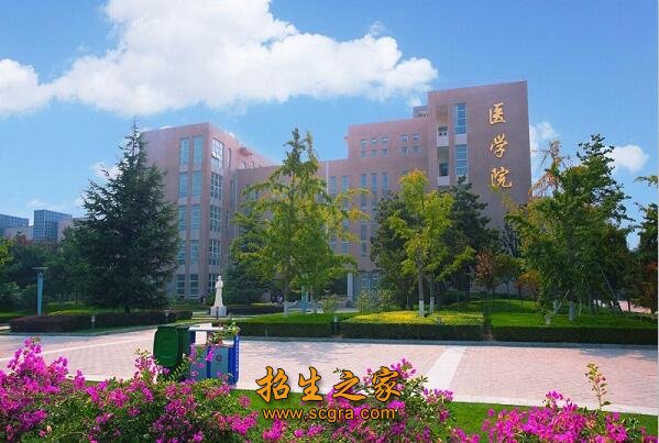 执行澳门永利注册新手怎么玩部和各省(