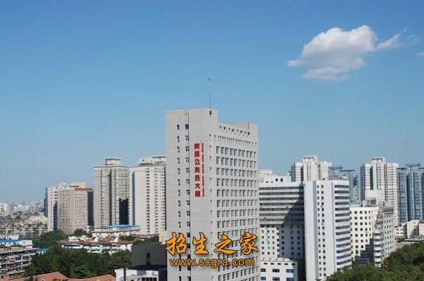 其中副高级以上职称61人