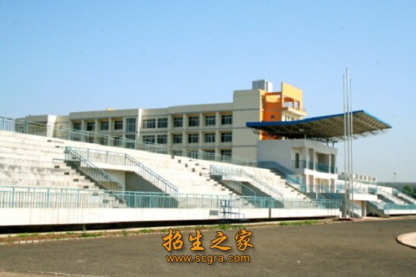 综合考虑社会需求和毕业生就业等情况制