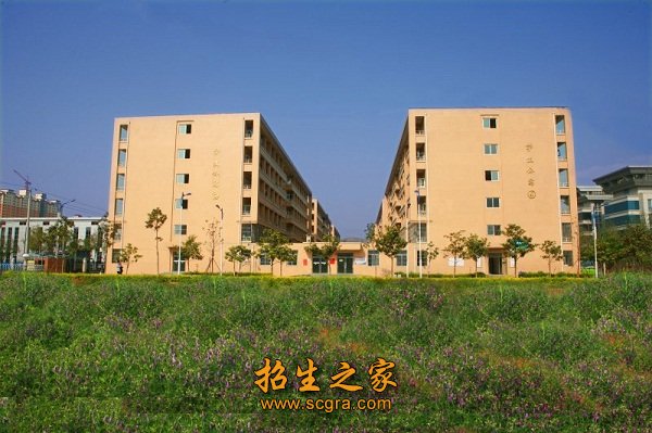 8个中职专业