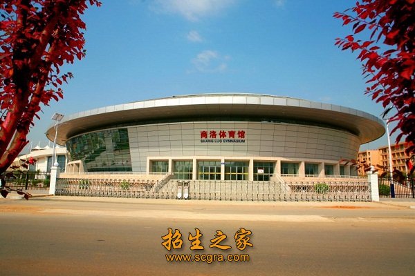 公开信息按发布时间滚动