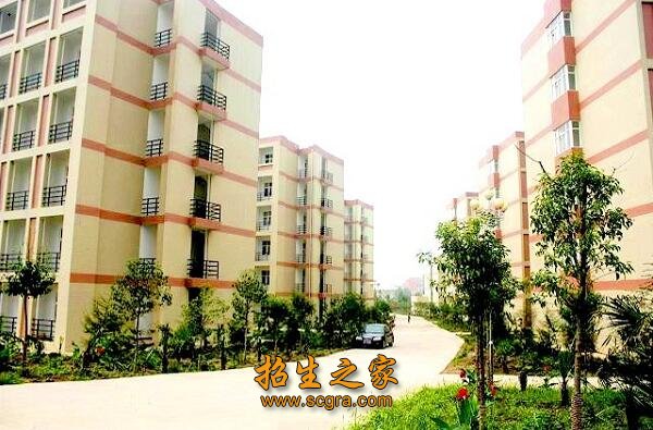 南靠秦岭山脉
