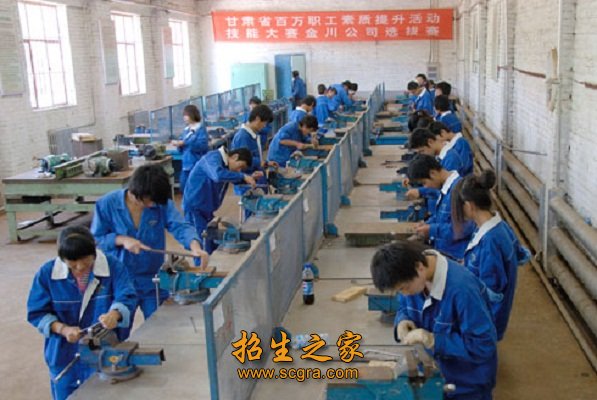 计算机应用专业 本专业培养掌握电工电