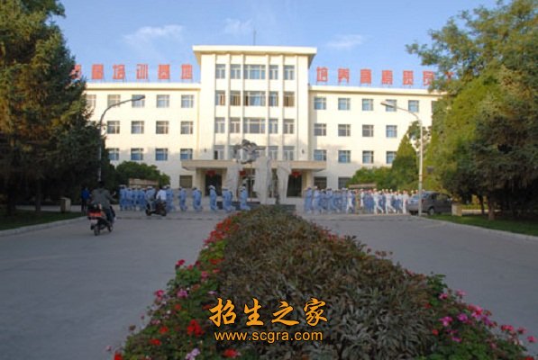专业知识和基本技能