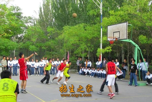 2011年