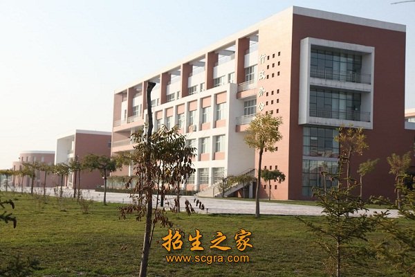 正文适合核对表述