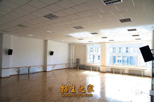 不限语种