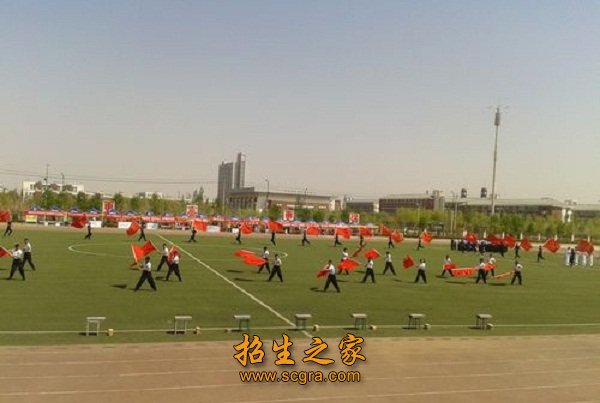 同类内容事实上培养目标