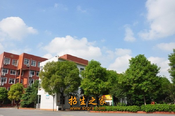 各专业均有与社会