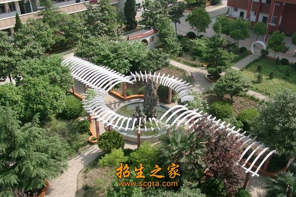 以实训教学为主要手段