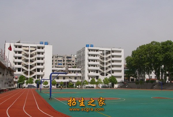 2008年
