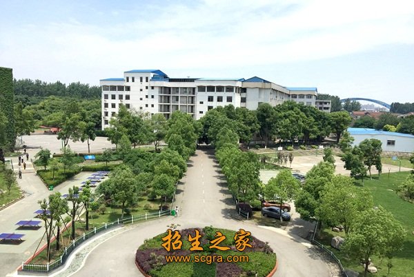 发中专文凭
