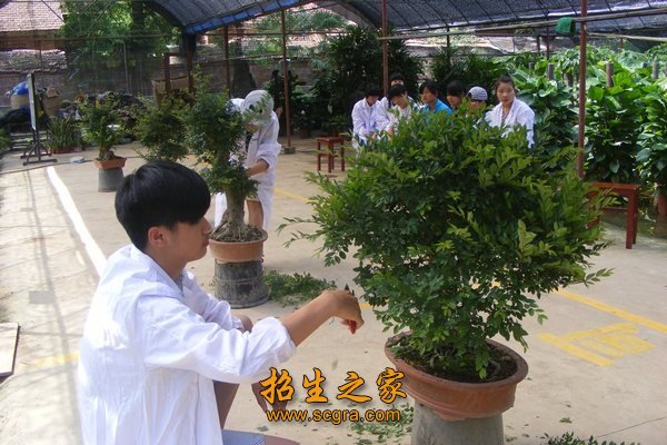 扬州等大中城市实现了稳定就业