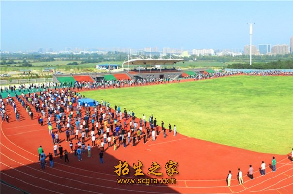 以就业为导向