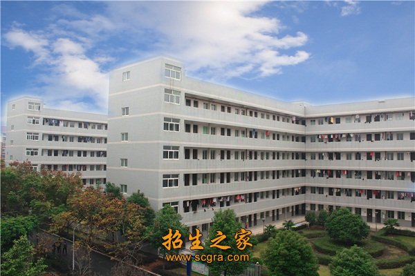 以质量为核心